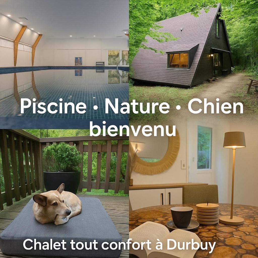 Chalet Sequoia 138 Nature, Piscine Et Chien Bienvenu A Durbuy Kültér fotó